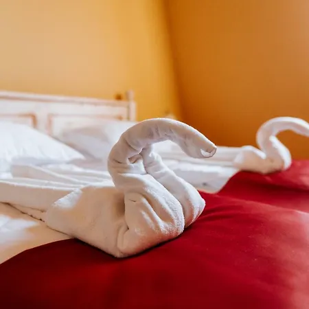 Conacul Nagy Hotell